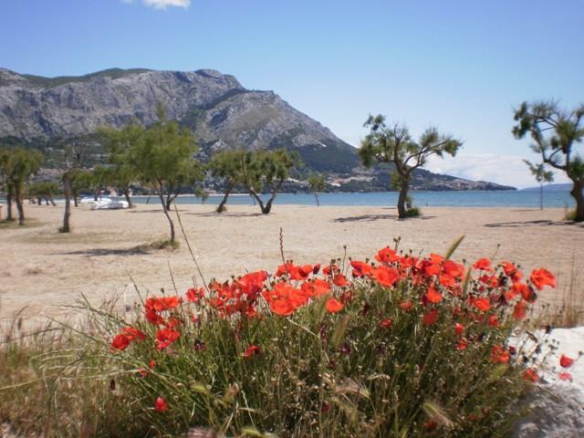 Apartment Danka Omiš Εξωτερικό φωτογραφία